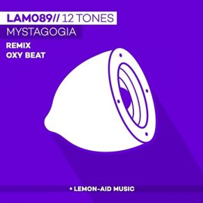 Download track Mystic (Original Mix) 12 Tones