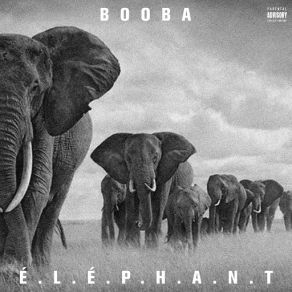 Download track E. L. E. P. H. A. N. T Booba