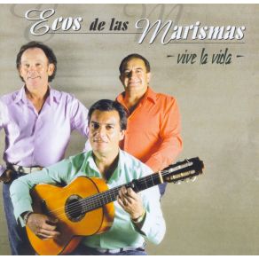 Download track Con Lo Feliz Que Era Yo Ecos De Las Marismas