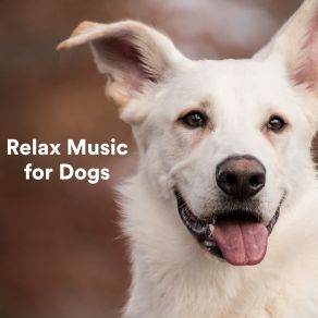 Download track Ease Dog Calming Music