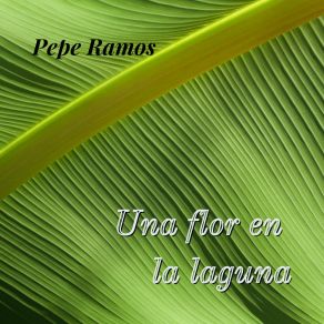 Download track Una Flor En La Laguna Pepe RamosMauricio Hernandez Monterrubio