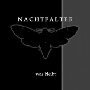 Download track Maschinenklang Nachtfalter