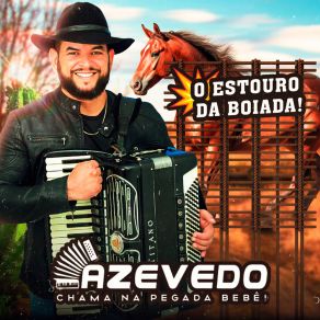 Download track Vaqueira Testada (Cover) Azevedo