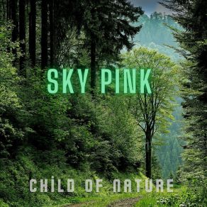 Download track Ritual Sky Pink