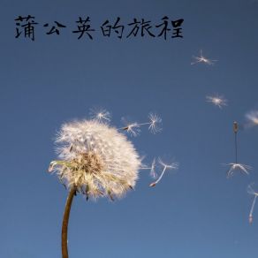 Download track 蒲公英的旅程 幻境音乐厂