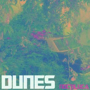 Download track Lonely Palm Dunes