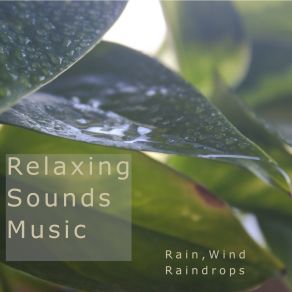 Download track Rain Wind Raindrops Meditation Atmosphere (Part 2) Relaxing Sounds Music