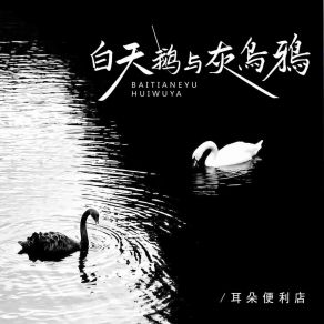 Download track 白天鹅与灰乌鸦 耳朵便利店