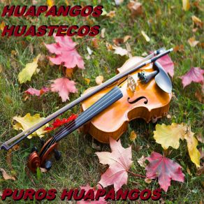 Download track El Son Solita Huapangos Huastecos