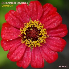 Download track Crimson (Nic De Sa Remix) Scanner DarklyNic De Sa