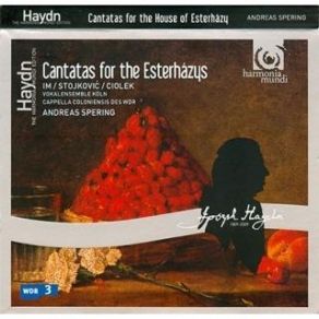 Download track 15 - III. Finale Presto. Ape Joseph Haydn