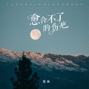 Download track 愈合不了的伤疤 (伴奏) Lin Bao