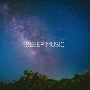 Download track Sleep Well Under The Moonlight Lico