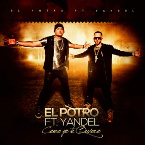 Download track Como Yo Te Quiero (Yandel) El PotroYandel