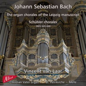 Download track Trio Super Nun Komm Der Heiden Heiland, BWV 660 Vincent Van Laar