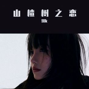 Download track 夜空中最亮的星（DJ版） 98k