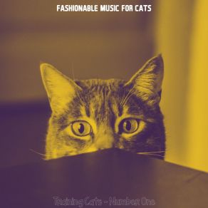 Download track Paradise Like (Training Cats) Fashionable Music For Cats