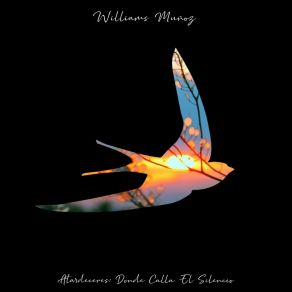 Download track 18: 00 Williams Muñoz