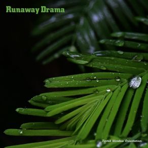 Download track Runaway Drama Tinted Window Orientation