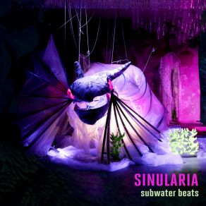 Download track 2.6: In The Moment Of Immersion Sinularia