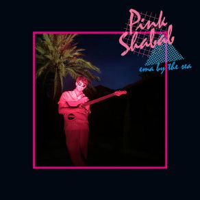 Download track You Can't Go Back Pink Shabab