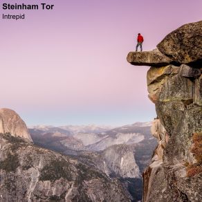 Download track Far From Home Steinham Tor