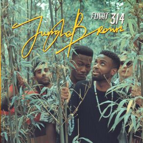 Download track Night Flight (Skit) Jungle Brown