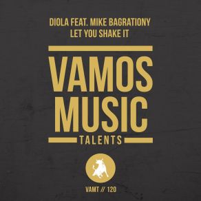 Download track Let You Shake It Mike Bagrationy