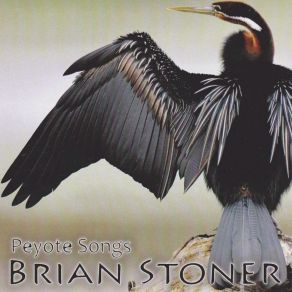 Download track Vocal Straight Song # 2 Brian Stoner