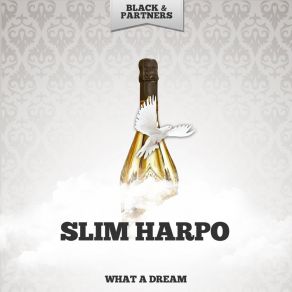 Download track My Little Queen Bee Slim Harpo