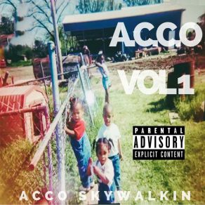 Download track Flawless Acco SkyWalkin