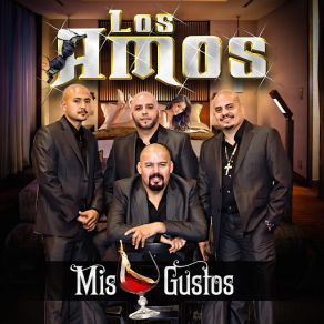 Download track Mis Gustos Los Amos