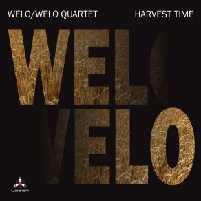 Download track If You Remember WeloTor Welo, Ola Welo