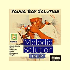 Download track Sample You Young Boy Solution