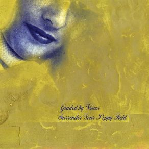 Download track Year Of The Hard Hitter Guided By Voices