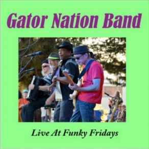 Download track Groove Thing (Live) Gator Nation Band