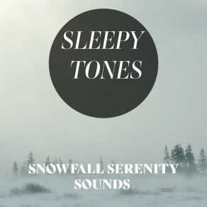 Download track Snowfall Serenity Sounds, Pt. 12 Jason Rivers