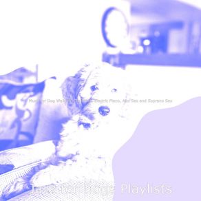 Download track Vivacious Backdrops For Well Behaved Dogs Jazz For Dogs Playlists