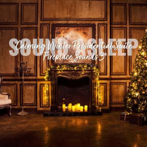 Download track Calming Winter Presidential Suite Fireplace Sounds, Pt. 19 Elijah Wagner