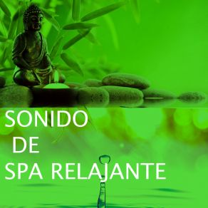 Download track Relajante Para Dormir Con Oceano Yoga Para Relajar La Mente