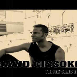 Download track Rnb Francais - J'Ai Rien A Dire - David Cissoko David Cissoko Rnb Francais