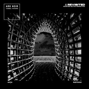 Download track Tunnel Visions (Tunnel Visions Holy B Remix) Ark NoirHoly B