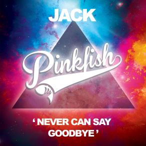 Download track Never Can Say Goodbye Original Mix Jack