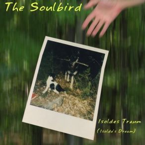 Download track III Der Fremde Erzählt (The Stranger'S Tale) The Soulbird