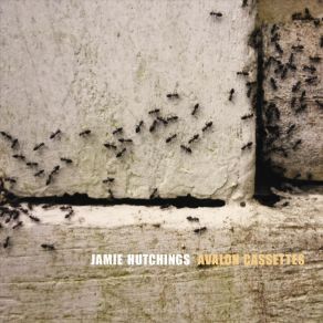 Download track Cicada Symphony Jamie Hutchings