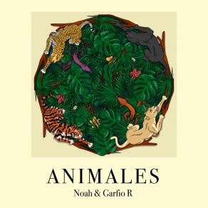 Download track Penélope Garfio RNoah And The Whale