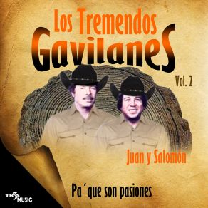 Download track Sueña Y Quiéreme Los Tremendos Gavilanes