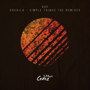 Download track Simple Things (Crowd Controlol Remix) Archila