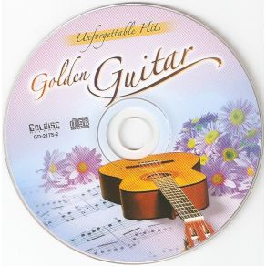 Download track You Light Up My Life Golden Guitar