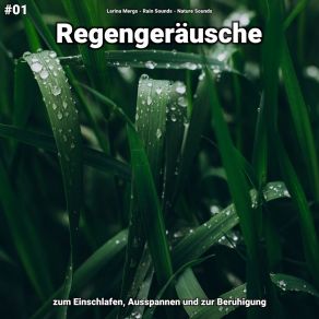 Download track Regengeräusche, Pt. 22 Nature Sounds